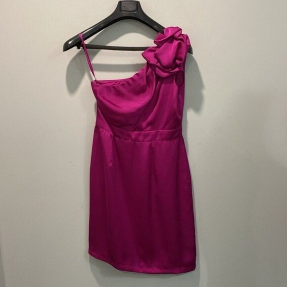 The Limited Fuchsia One Shoulder Dress - Picture 4 of 16
